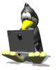 pinguine-8306